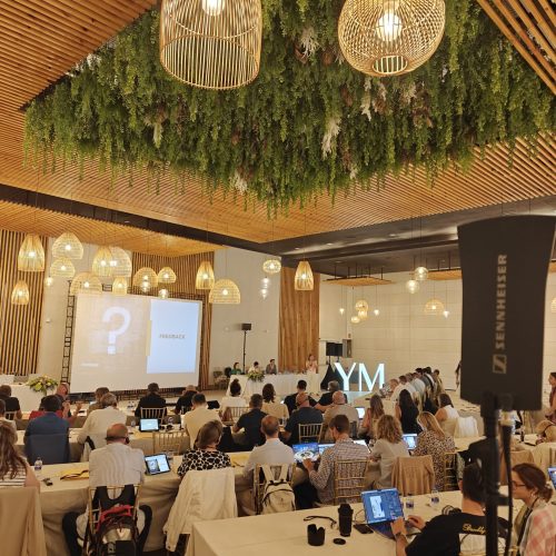 WhatsApp Image 2026-02-11 at 11.19.22